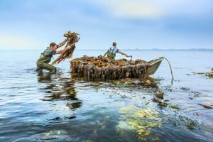 Cédric Bossard, photographe