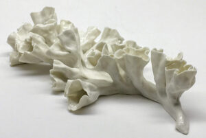 Pascale Morin, sculpture, porcelaine