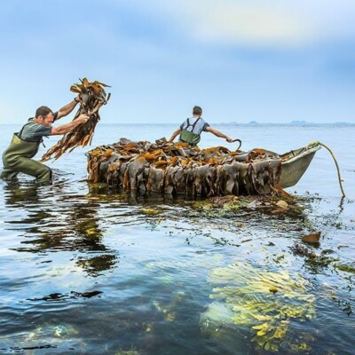 Cédric Bossard, photographe Cédric Bossard, photographe