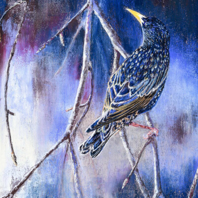 Christine Philippe Pastels Christine Philippe Pastels