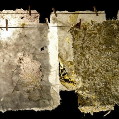 L'atelier du papier, Marie Josèphe Lemieux